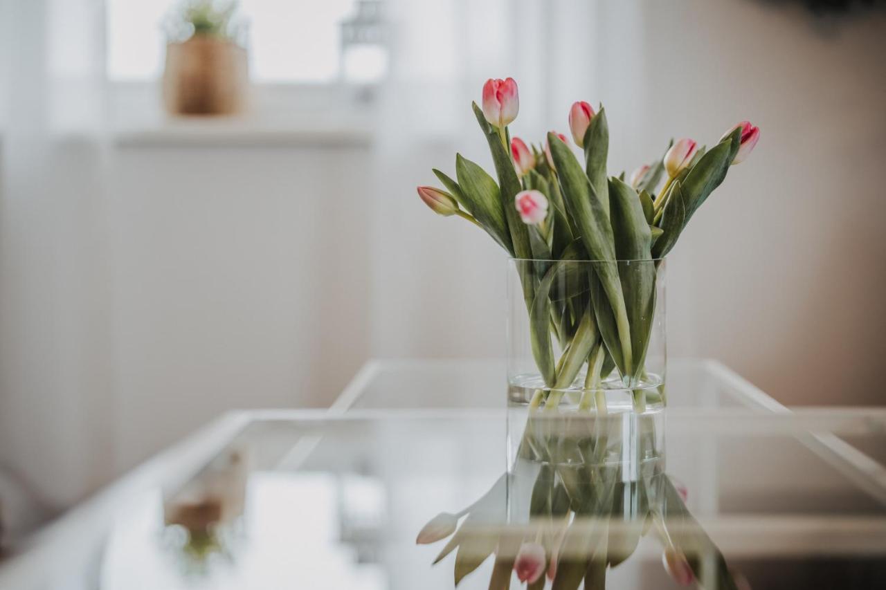 Ferienwohnung Weidenblick Varel Εξωτερικό φωτογραφία